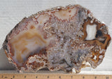 Brazilian Agate Polished Rock Slab 185