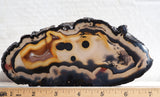 Brazilian Agate Polished Rock Slab 189