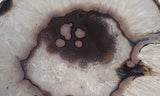 Brazilian Agate Polished Rock Slab 187