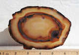 Brazilian Agate Polished Rock Slab 192