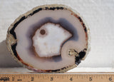 Brazilian Agate Polished Rock Slab 196