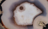 Brazilian Agate Polished Rock Slab 196