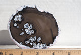 Brazilian Agate Polished Rock Slab 199