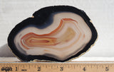 Brazilian Agate Polished Rock Slab 195