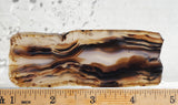 Montana Agate Rock Slab 205