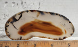 Montana Agate Rock Slab 194
