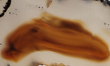 Montana Agate Rock Slab 194