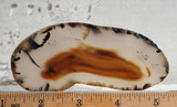Montana Agate Rock Slab 194