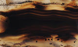 Montana Agate Rock Slab 192