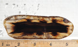 Montana Agate Rock Slab 192