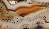 Montana Agate Rock Slab 209