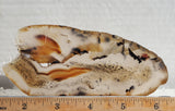 Montana Agate Rock Slab 209