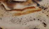 Montana Agate Rock Slab 186