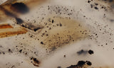 Montana Agate Rock Slab 186