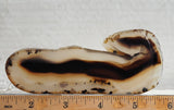 Montana Agate Rock Slab 185