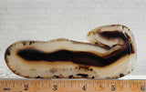 Montana Agate Rock Slab 185