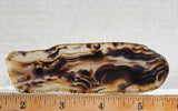 Montana Agate Rock Slab 178