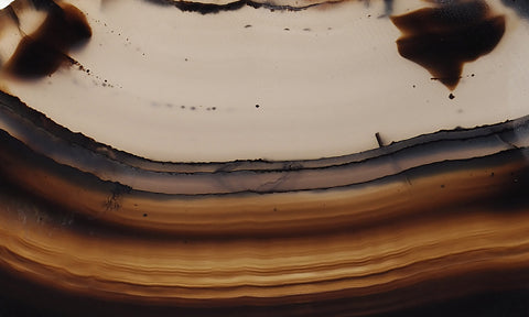 Montana Agate Rock Slab 220