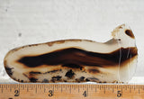 Montana Agate Rock Slab 208