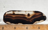 Montana Agate Rock Slab 217