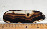 Montana Agate Rock Slab 217