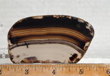 Bargain Bin F Slab 220