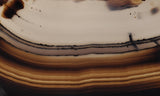 Bargain Bin F Slab 220