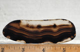 Montana Agate Rock Slab 193