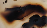 Montana Agate Rock Slab 197