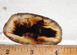 Montana Agate Rock Slab 169
