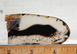 Montana Agate Rock Slab 207