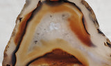 Montana Agate Rock Slab 224