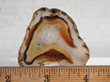 Montana Agate Rock Slab 224