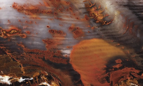 Petrified Wood Slab 194