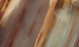 Petrified Wood Slab 199