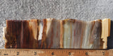Petrified Wood Slab 199