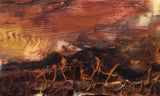 Petrified Wood Slab 192