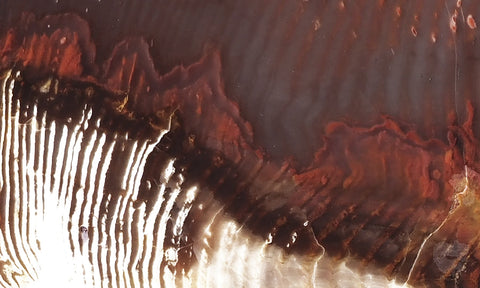 Petrified Wood Slab 197