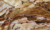 Petrified Wood Slab 187
