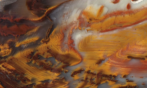 Petrified Wood Slab 181