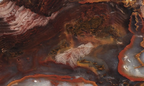 Petrified Wood Slab 190