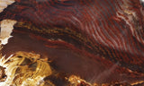Petrified Wood Slab 184