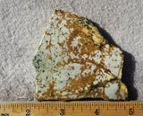 Bargain Bin F Slab 176