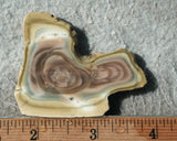 Royal Imperial 253