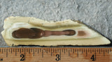 Royal Imperial 255