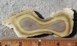 Royal Imperial 243
