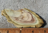 Royal Imperial 238