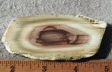 Royal Imperial 241