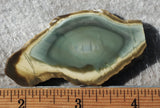 Royal Imperial 259