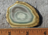 Royal Imperial 239